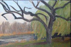 Brantwood Park