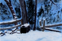 Back yard in winter