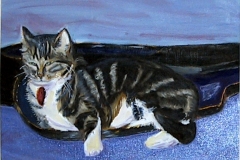 Musical Cat