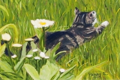 Guarding the Daisies