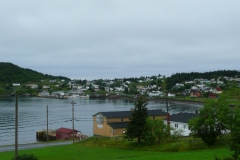 2008-07-23_07-35-56_Fern