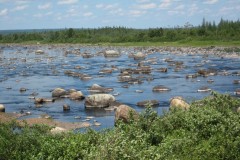 2008-07-27_14-22-43_Diana