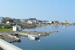 2008-07-29_15-44-29_Fern