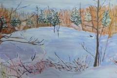 Champlain Parkway Swamp