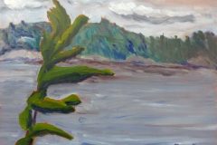 Charlton Lake Pine