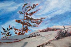 Rocks And Trees